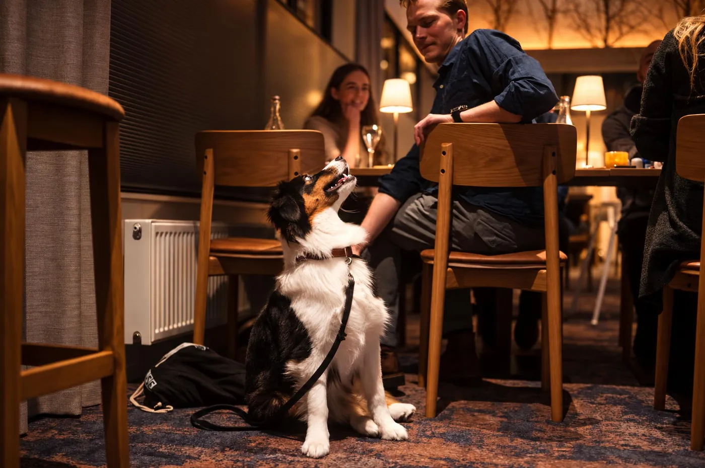 En hund sitter bland gästerna i matsalen